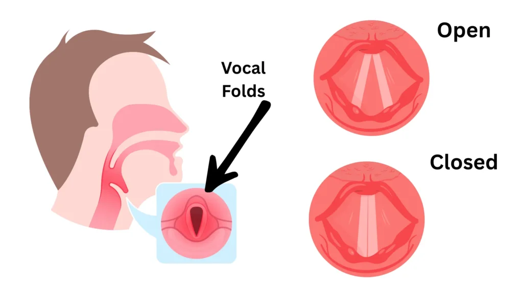 Physics of Human Voice - Image