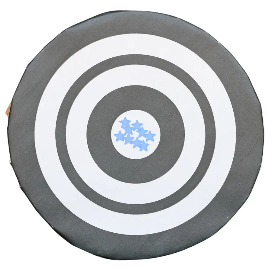 Image showing archery example of accurate and precise