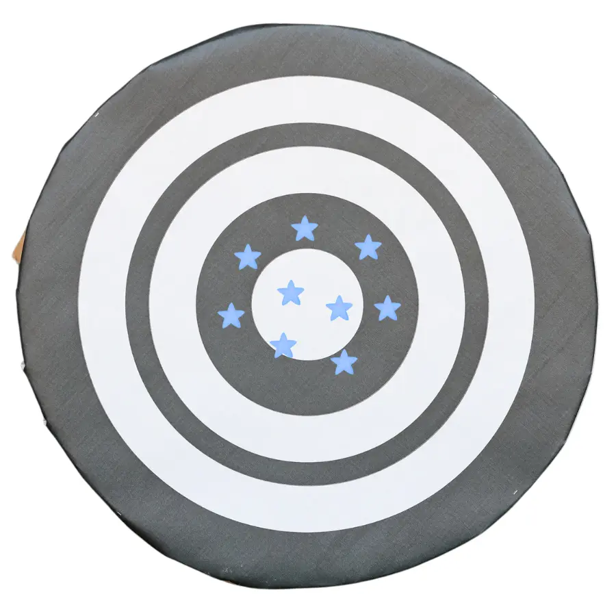 Image showing archery example of accurate but not precise result